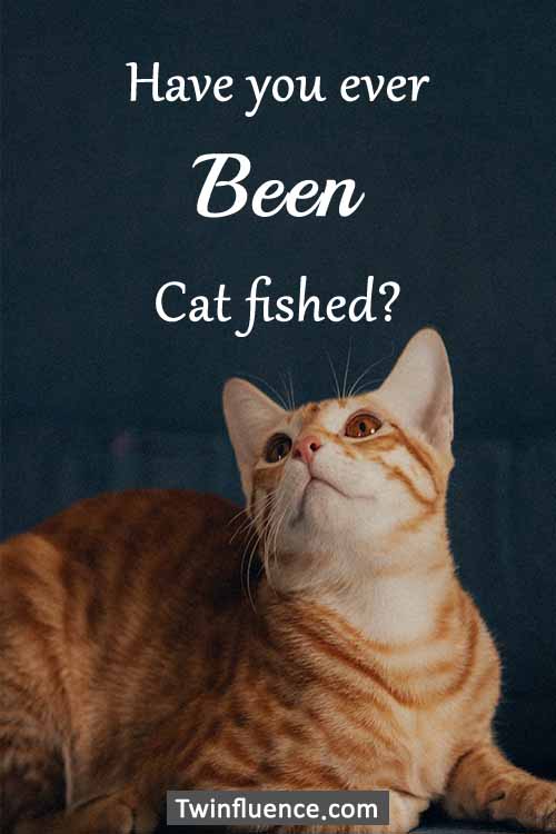 Clean-Have-You-Ever-Questions